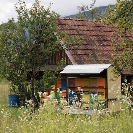 Apartma Petra Ravnik - Wanderer'S Hut Apartment Bohinj Luaran gambar