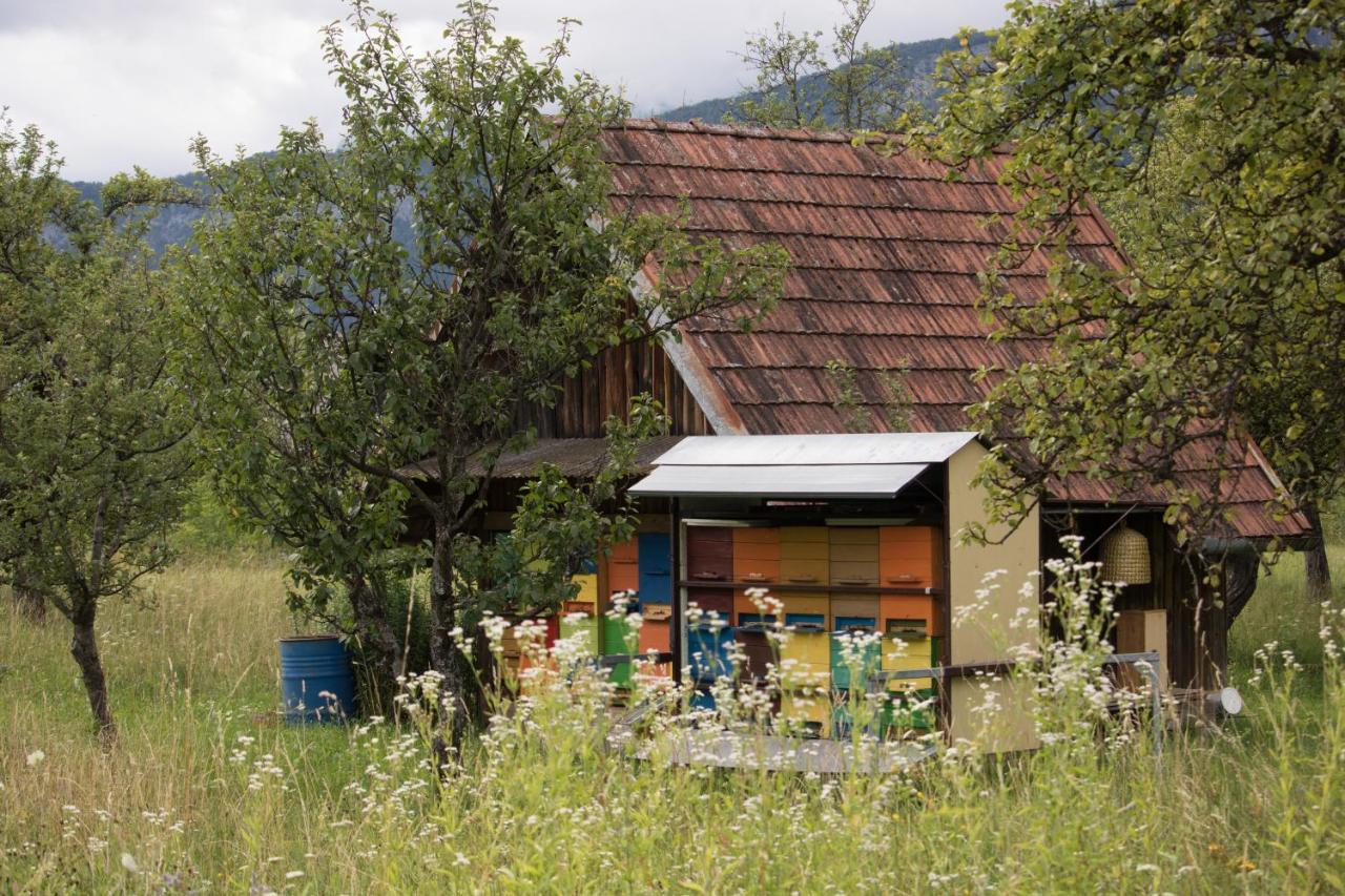 Apartma Petra Ravnik - Wanderer'S Hut Apartment Bohinj Luaran gambar